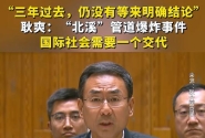 耿爽：国际社会需要一个交代