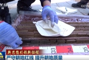 【新思想引领新征程】严守耕地红线 提升耕地质量
