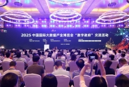 2025数博会“数字政府”交流活动举行 共探数据赋能治理新路径 ...