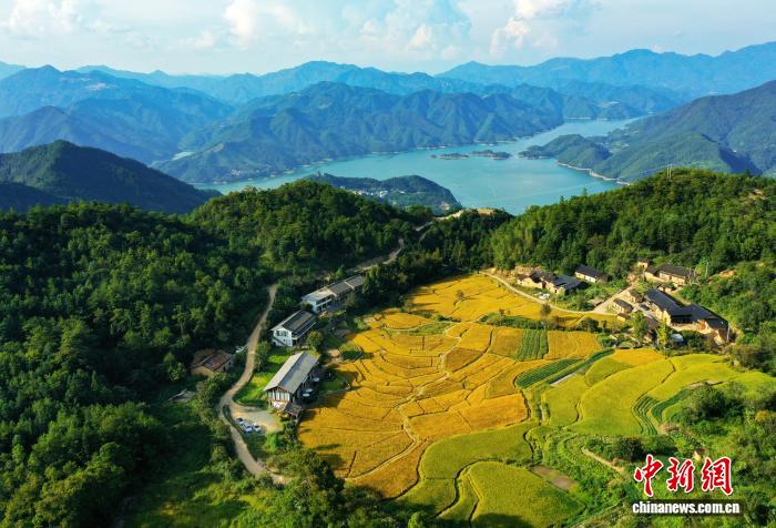 （侨乡新貌）侨胞“点绿成金”助力浙江“两山”实践 ...